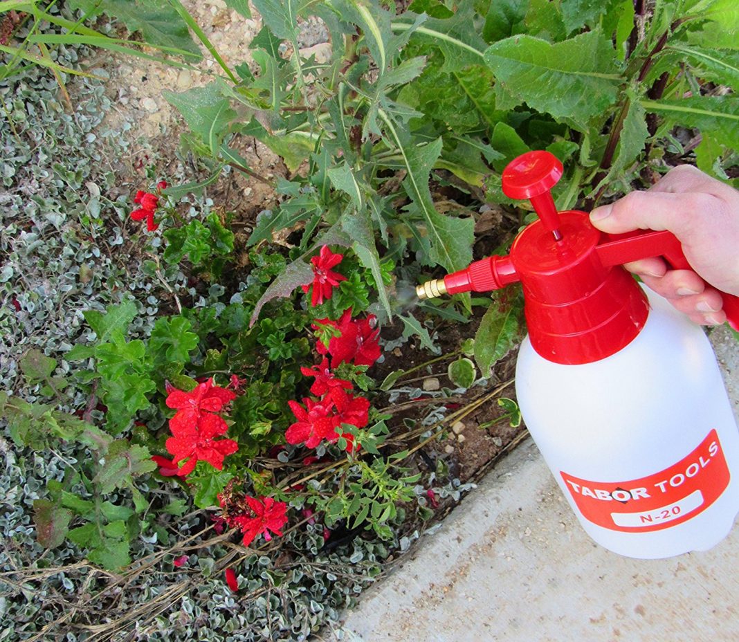 Top 10 Best Weed Killer Sprayer Reviews in 2018 Pros and Cons