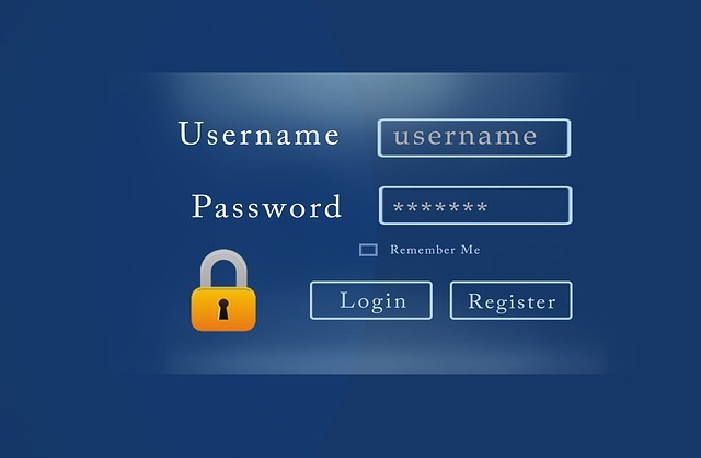 login interface